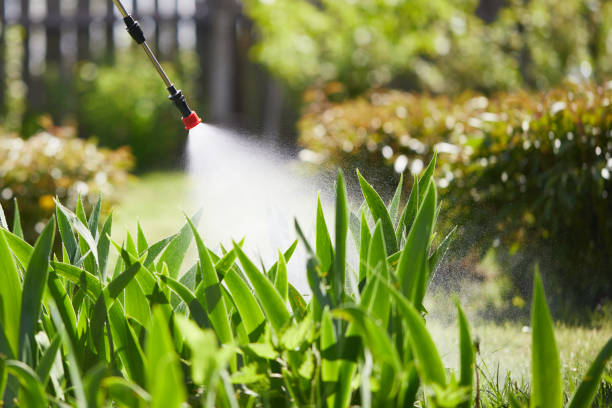 24/7 Emergency Cockroach Control experts in East Milton, FL