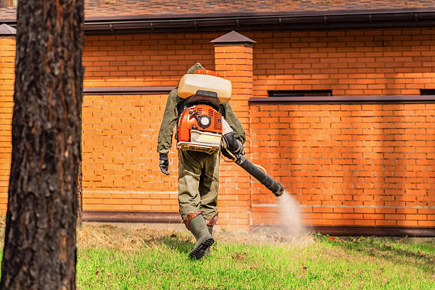 Trusted Ant Control service in East Milton, FL - Nex Pest Control